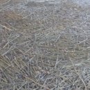 월학농장 이미지