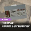 대원개발