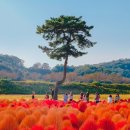 청주 가볼만한곳 베스트10 이미지