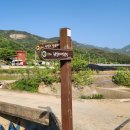 신정리경로당 Daum카페