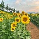 돌마로356번길 이미지