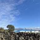 GS25 서귀중문점 이미지