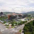 날개마이스