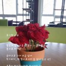 종이사랑