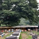 만세동농장 이미지