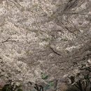 산본1단지