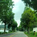 나노로그스토어 이미지