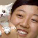 어린왕자 이미지