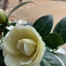 다로 - 청주시 청원구 양청1길 4 | 다로
