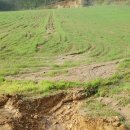 송곡농장 이미지