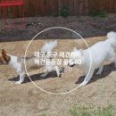 놀러오개 불로점 이미지