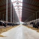 태양축사 이미지