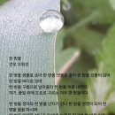 한방울관