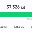 보폭 - 10224 | 보폭