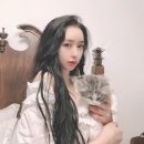 BJ스포츠