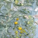 나복농장 이미지