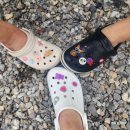 어비 포레스트 이미지