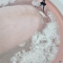 미미애견 이미지