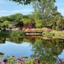 동산낚시터 이미지