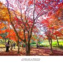 경상남도수목원 체험학습장 이미지