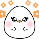 하모리-45 이미지