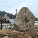 [유포마을]시금치
