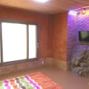 소나무 전경 이미지