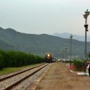 배성전자 이미지