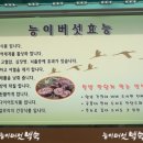 나능이 건너편 이미지