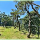 형제목장2 이미지