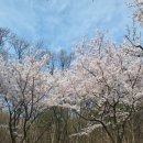 송탄쑥좌훈방