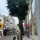 동주여자고등학교 이미지