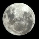 MOON GATE 스페이스