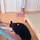 이루필라 이미지