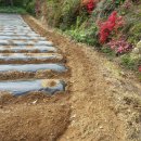 일철농장 이미지