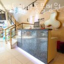 페토피아종합동물병원 | 송파구 방이동 동물병원 24시페토피아동물병원 위치 오는길 후기