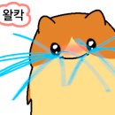 솔가숯불갈비 모현점 이미지