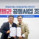 해오름솔루션