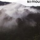 깊은산속 이미지