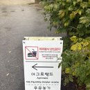 농가 | 보령 여행 빵이 진짜 진짜 맛있던 아그로랜드 우유농가 후기