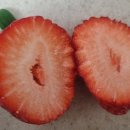 과일맛있고싼집 - 강진군 탐진로 67 | 과일맛있고싼집