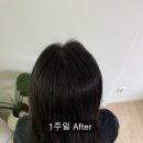 진해구 ⓒ-21 | 새치샴푸 염색샴푸 사이오스실크블랙 트리트먼트 한달후기 (+before/after 사진)