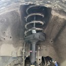 애니카랜드 서구점 이미지