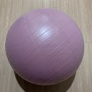 210111 | 210111. 아이워너 짐볼 구매후기