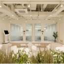 딱이야 오피스 이미지