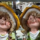 샘머리유치원 이미지