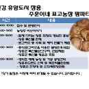 주훈농장 Daum카페