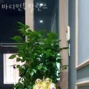 연산동필라테스 바디인투발란스 위치 정보