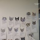 701아를고양이카페(cat in the art) | 하남고양이카페 701아를고양이카페 이색데이트 후기 (feat. 랙돌고양이 가족)