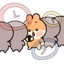 성공짐 이미지